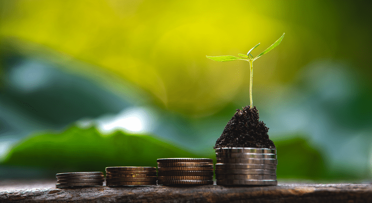 "Stacks of coins with a small plant growing on top, symbolizing financial growth and investment."